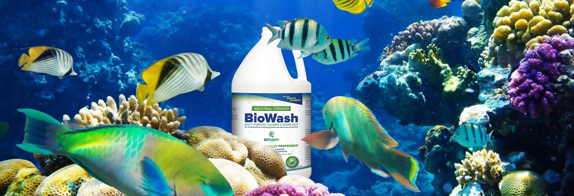 2023BioWash-Pro-BioWash-Biography-Title